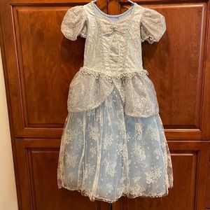 Disney world Cinderella costume